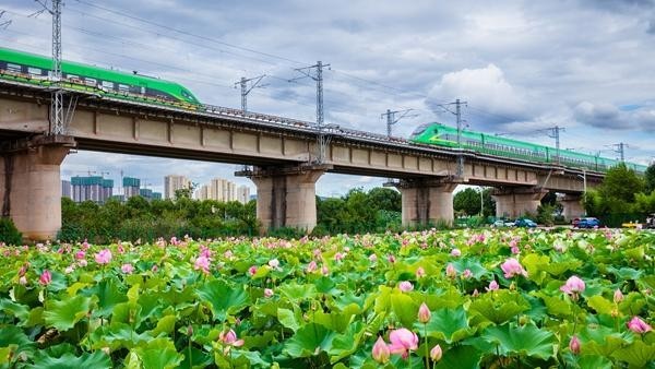 中国的城市正在国际上扩大“朋友圈”