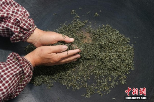 东西问·荐书｜中国茶叶如何塑造欧洲人的生活？
