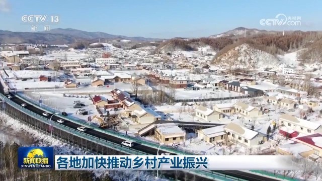 各地加快推动乡村产业振兴