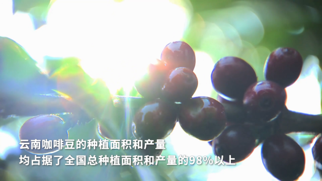 产业创新看西部｜给咖啡装上“中国芯”