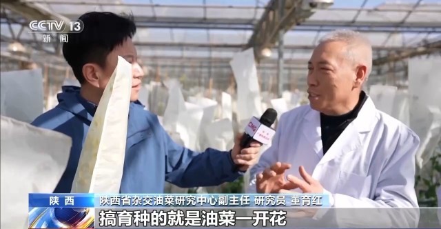 花田火锅、花田咖啡 花海背后藏着消费新场景