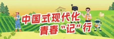 青字号力量为“尔滨”的冬天加把火