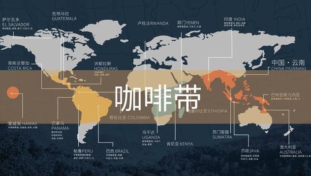 如何品味一杯美味咖啡